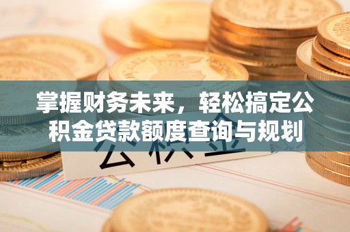温岭掌握财务未来，轻松搞定公积金贷款额度查询与规划