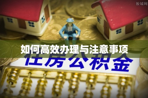 温岭如何高效办理与注意事项