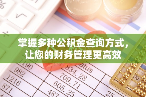 温岭掌握多种公积金查询方式，让您的财务管理更高效