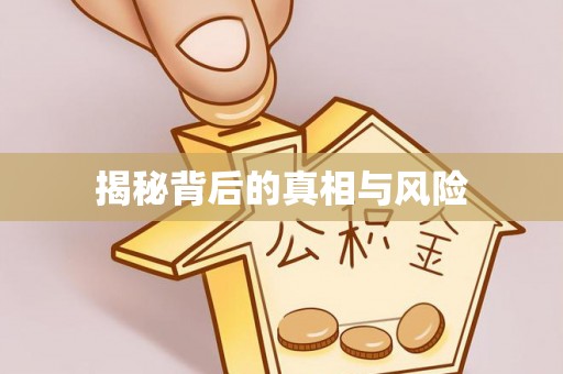 温岭揭秘背后的真相与风险
