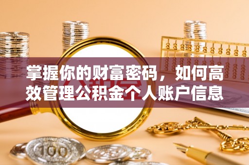 温岭掌握你的财富密码，如何高效管理公积金个人账户信息
