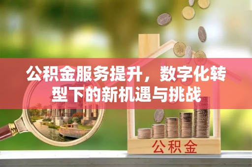 温岭公积金服务提升，数字化转型下的新机遇与挑战