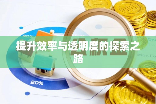 温岭提升效率与透明度的探索之路