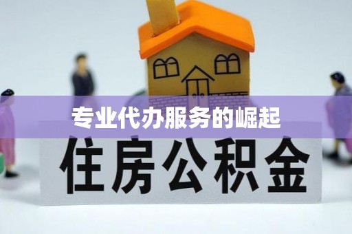 温岭专业代办服务的崛起