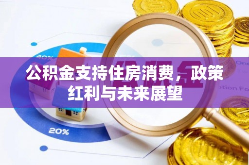 温岭公积金支持住房消费，政策红利与未来展望