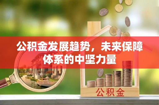温岭公积金发展趋势，未来保障体系的中坚力量