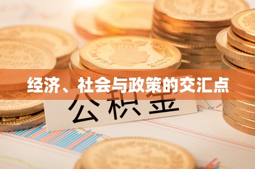 温岭经济、社会与政策的交汇点