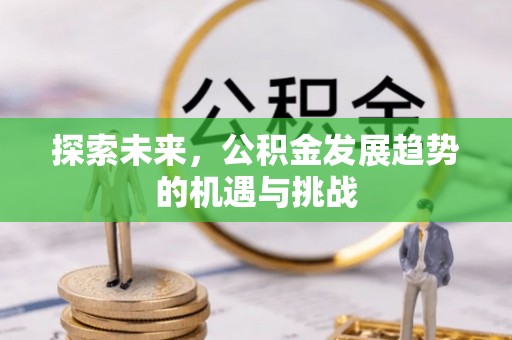 温岭探索未来，公积金发展趋势的机遇与挑战