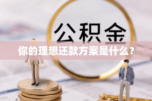 温岭你的理想还款方案是什么？