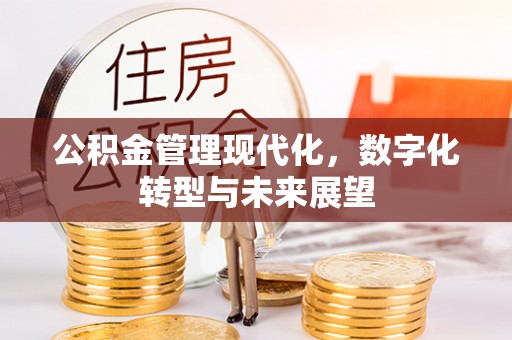 温岭公积金管理现代化，数字化转型与未来展望