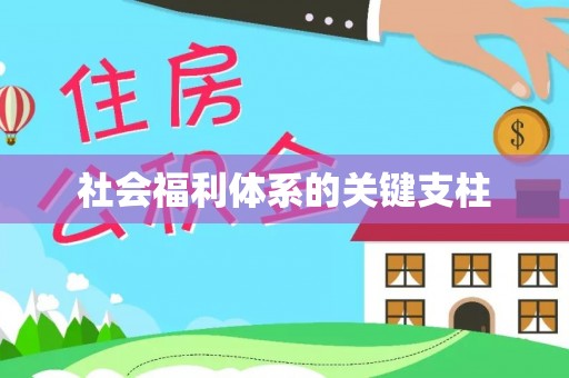 温岭社会福利体系的关键支柱