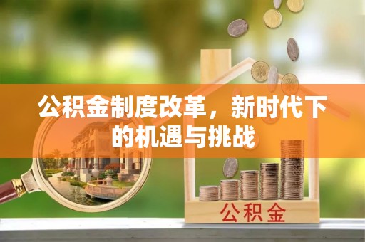 温岭公积金制度改革，新时代下的机遇与挑战