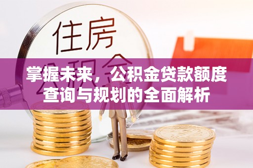 温岭掌握未来，公积金贷款额度查询与规划的全面解析