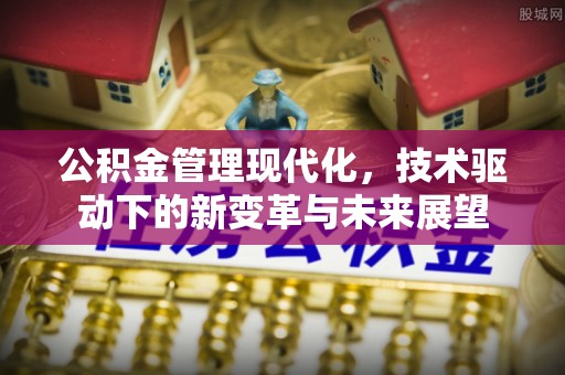 温岭公积金管理现代化，技术驱动下的新变革与未来展望