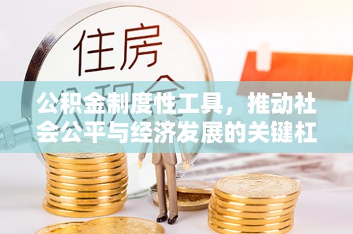 温岭公积金制度性工具，推动社会公平与经济发展的关键杠杆