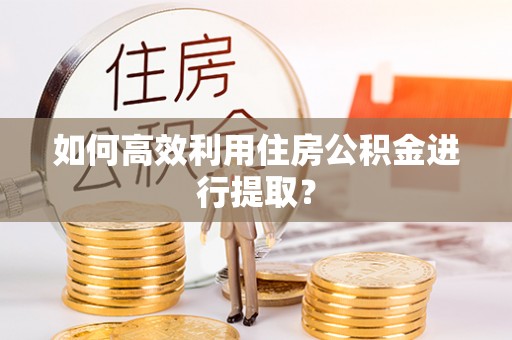 温岭如何高效利用住房公积金进行提取？