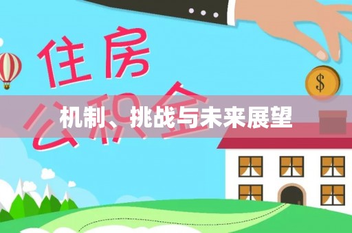 温岭机制、挑战与未来展望