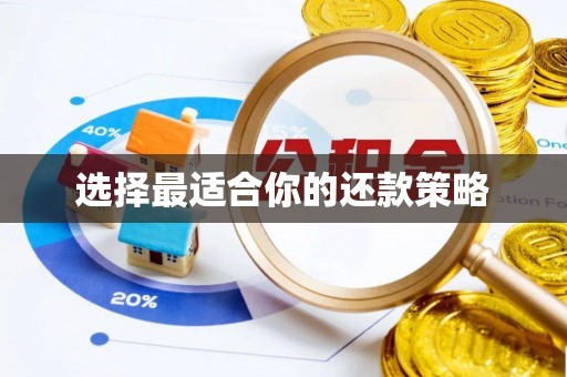 温岭选择最适合你的还款策略