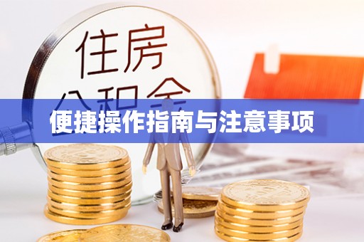 温岭便捷操作指南与注意事项